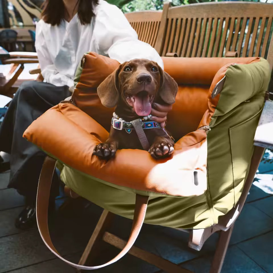 Hands-Free Front Carrier for Small Dogs & Cats