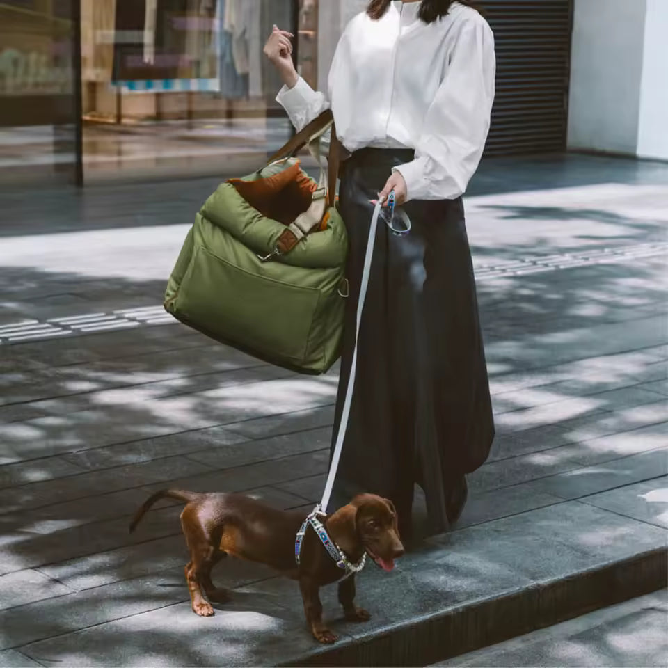 Hands-Free Front Carrier for Small Dogs & Cats